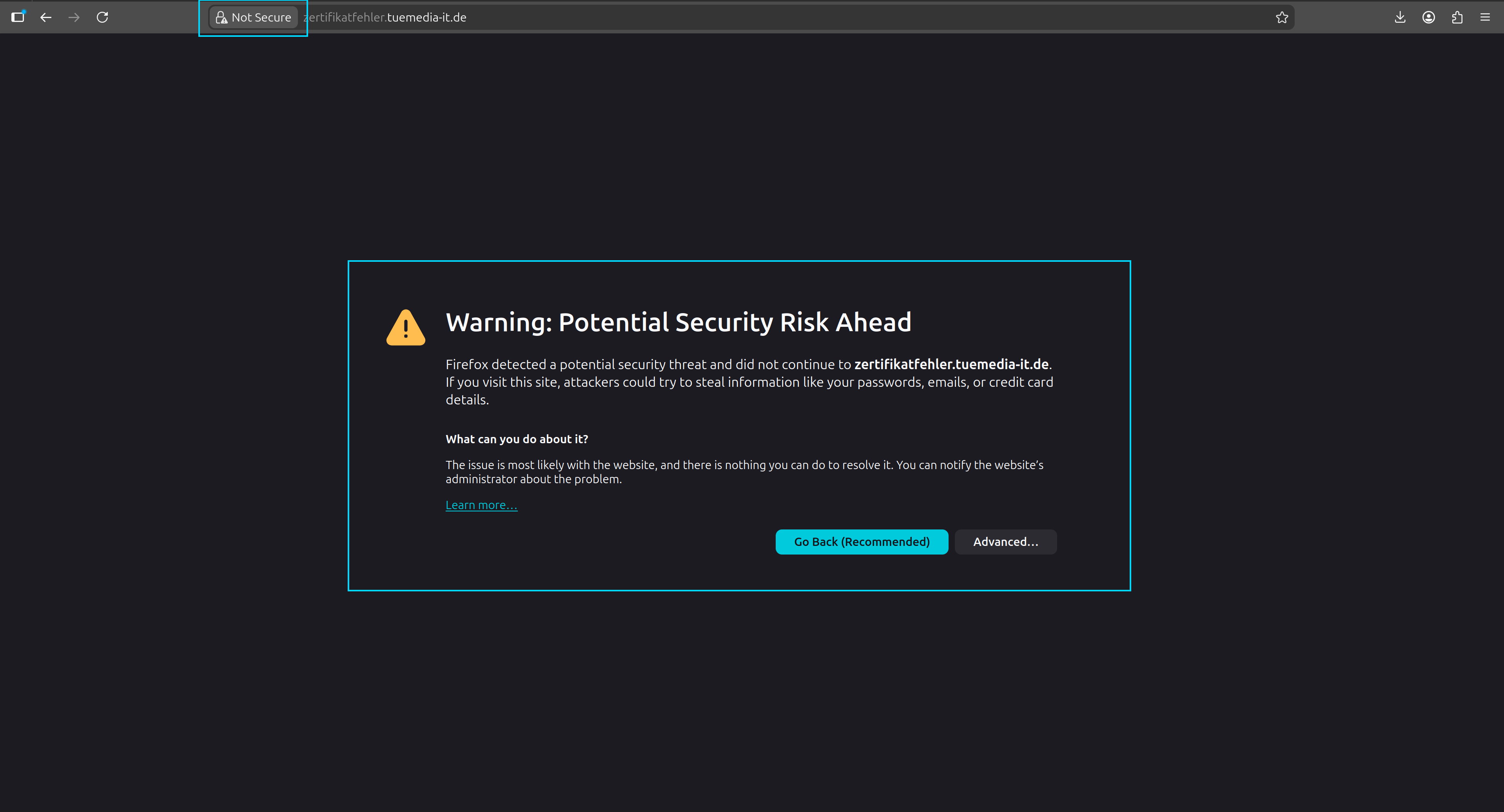 Nicht sichere Website-Warnung im Browser